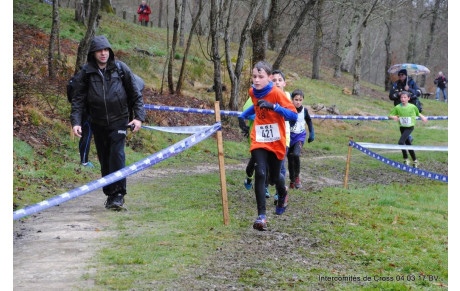 Des photos de l'inter comités de cross 