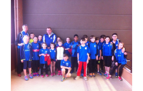 19 petits bleus à NOGENT LE  ROTROU