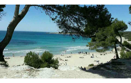 Christophe a bien négocié son magnifique trail