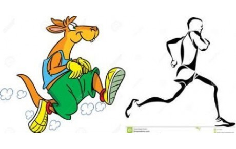 Une course à l'Australienne dimanche 10/09 à CHATEAUDUN (annulée)