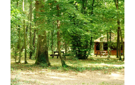  Séance du samedi 04 novembre au Bois des Gâts 