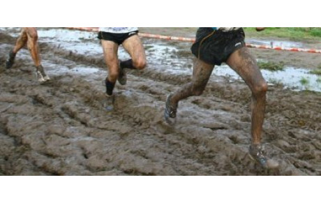 Régionaux de cross