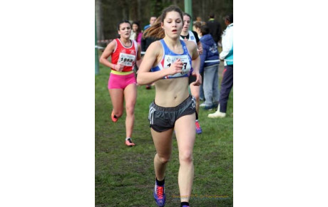  CROSS DE VINEUIL